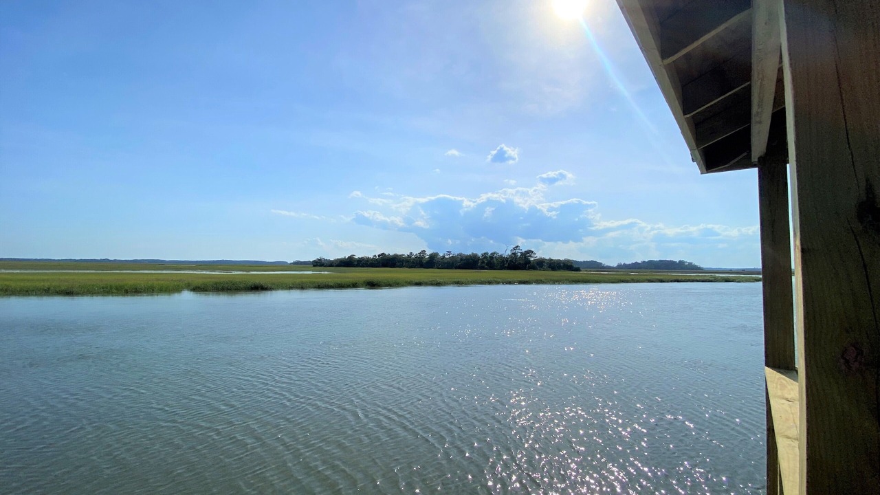 Photo of Others in Edisto Island