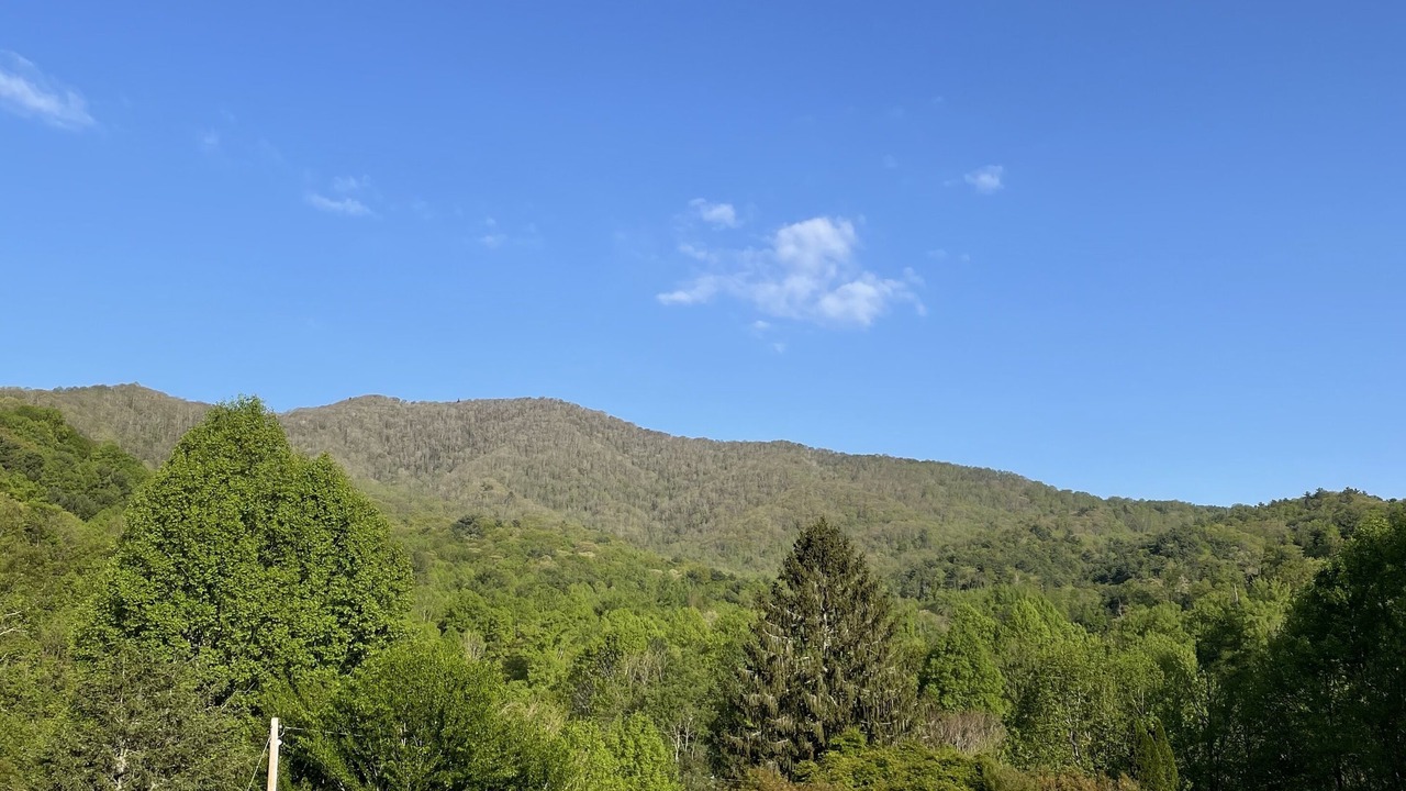 Photo of Others in Hot Springs
