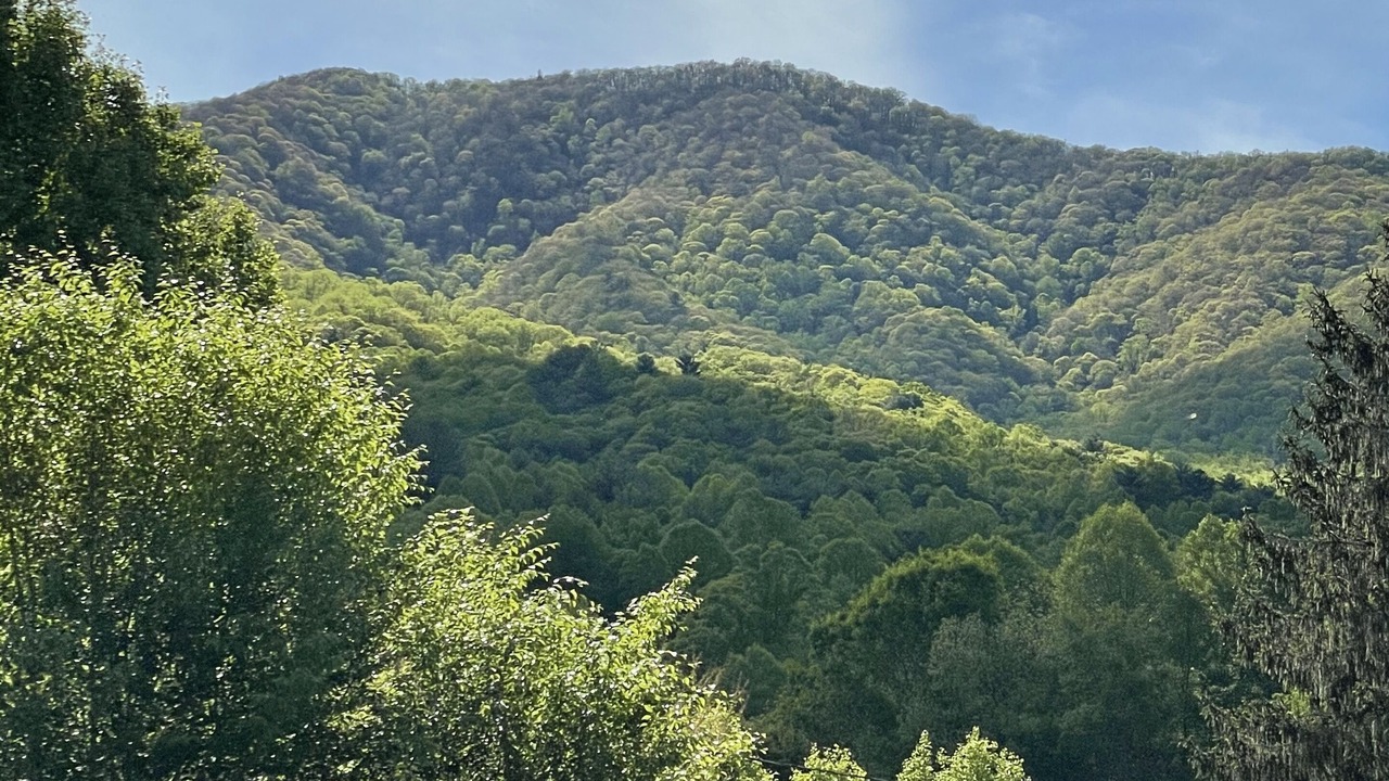 Photo of Others in Hot Springs