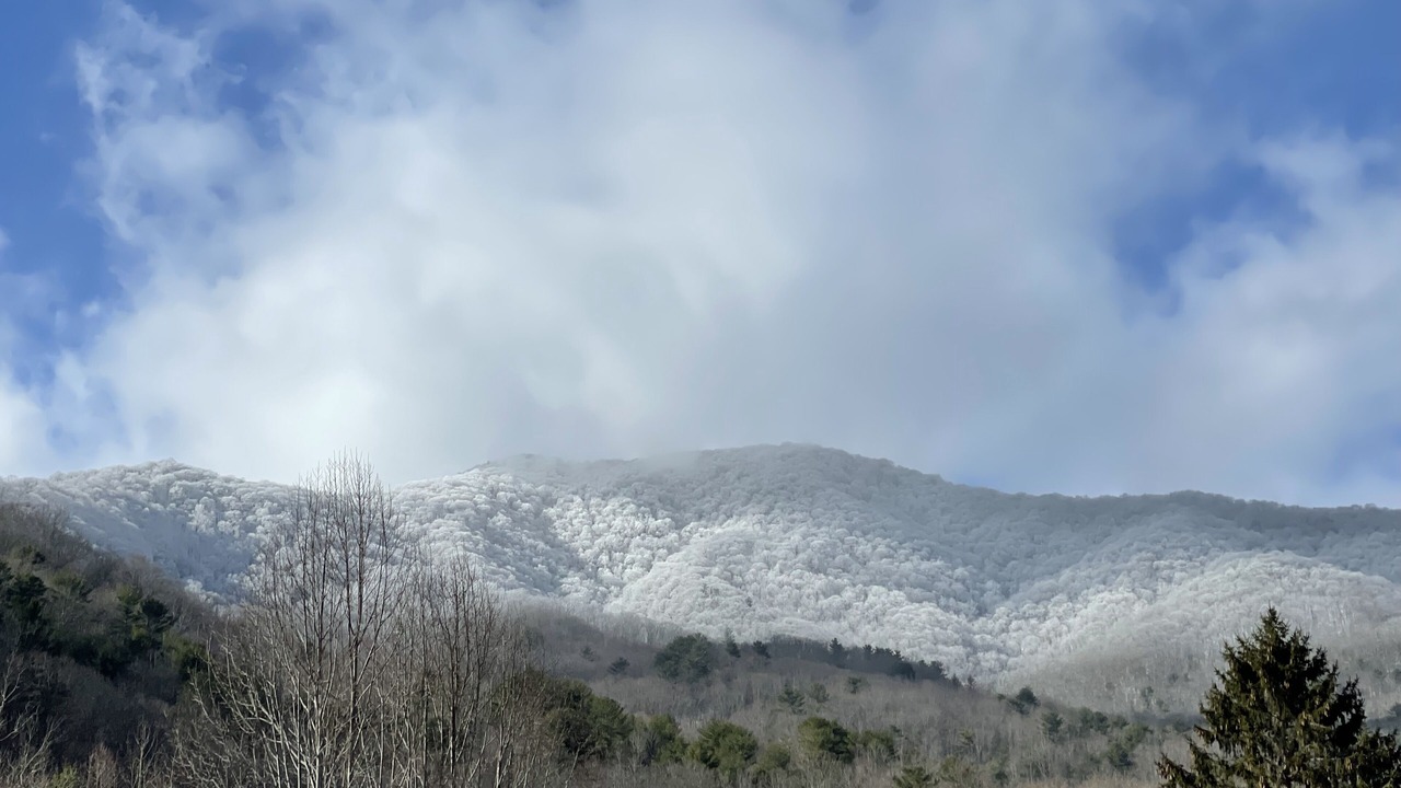 Photo of Others in Hot Springs