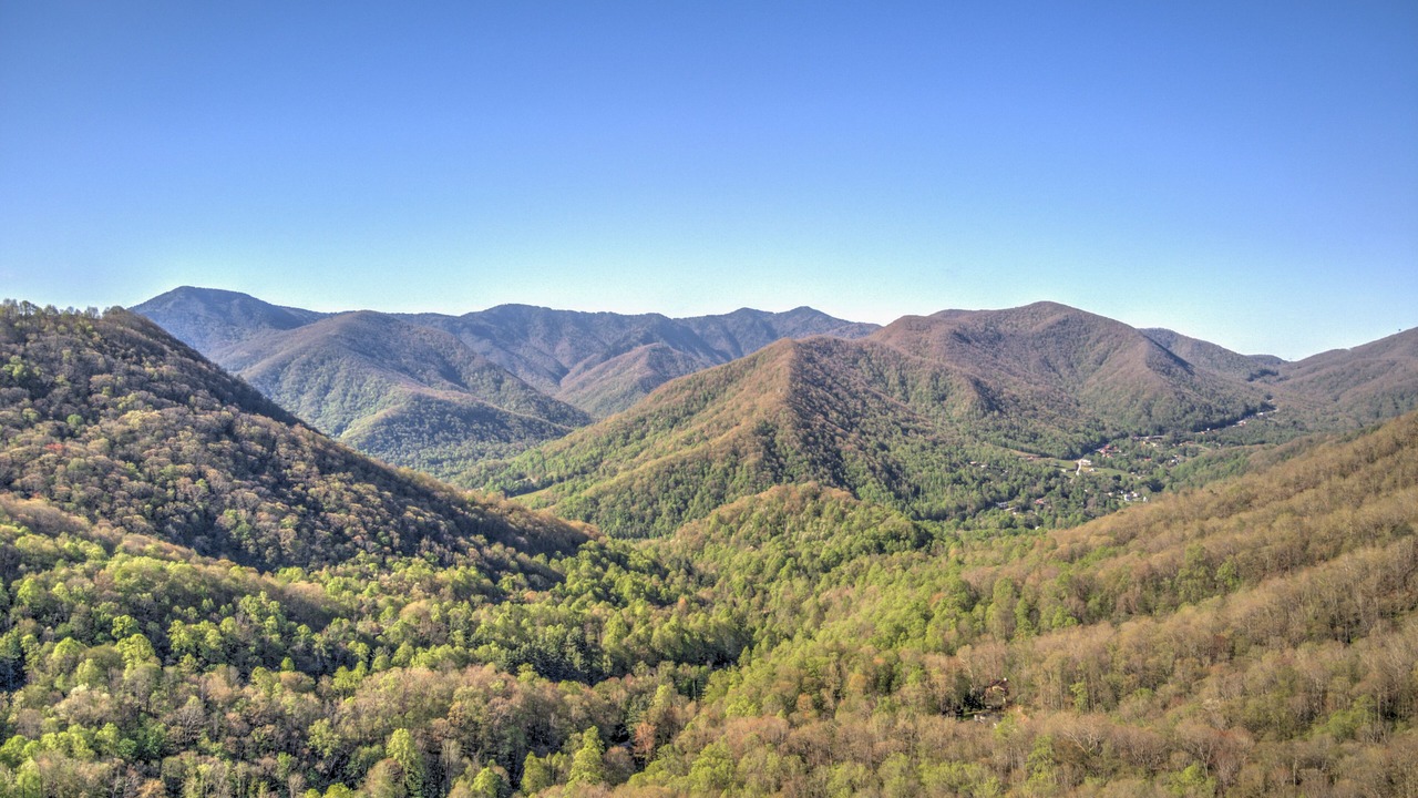 Photo of Outdoor in Cataloochee Ranch