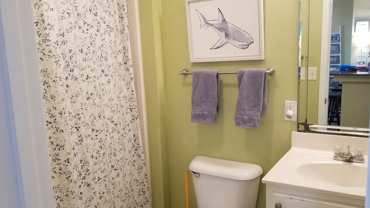 Photo of Bathroom in Dauphin Island