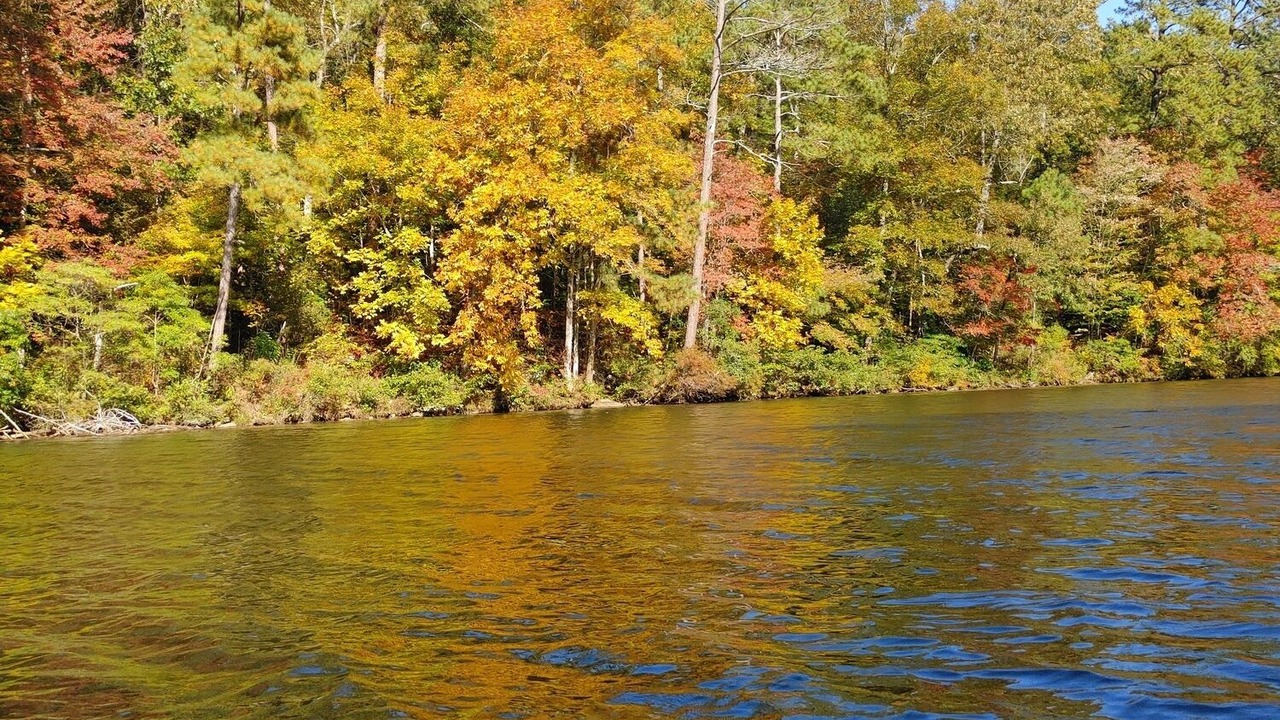 Photo of Others in Guntersville