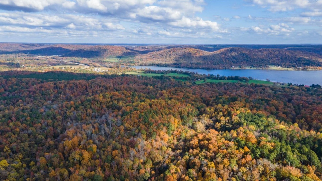 Photo of Others in Guntersville