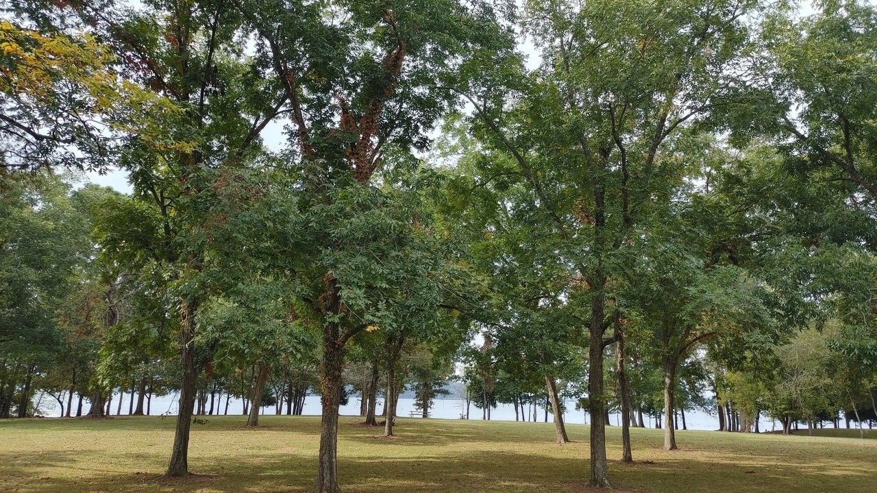 Photo of Others in Guntersville