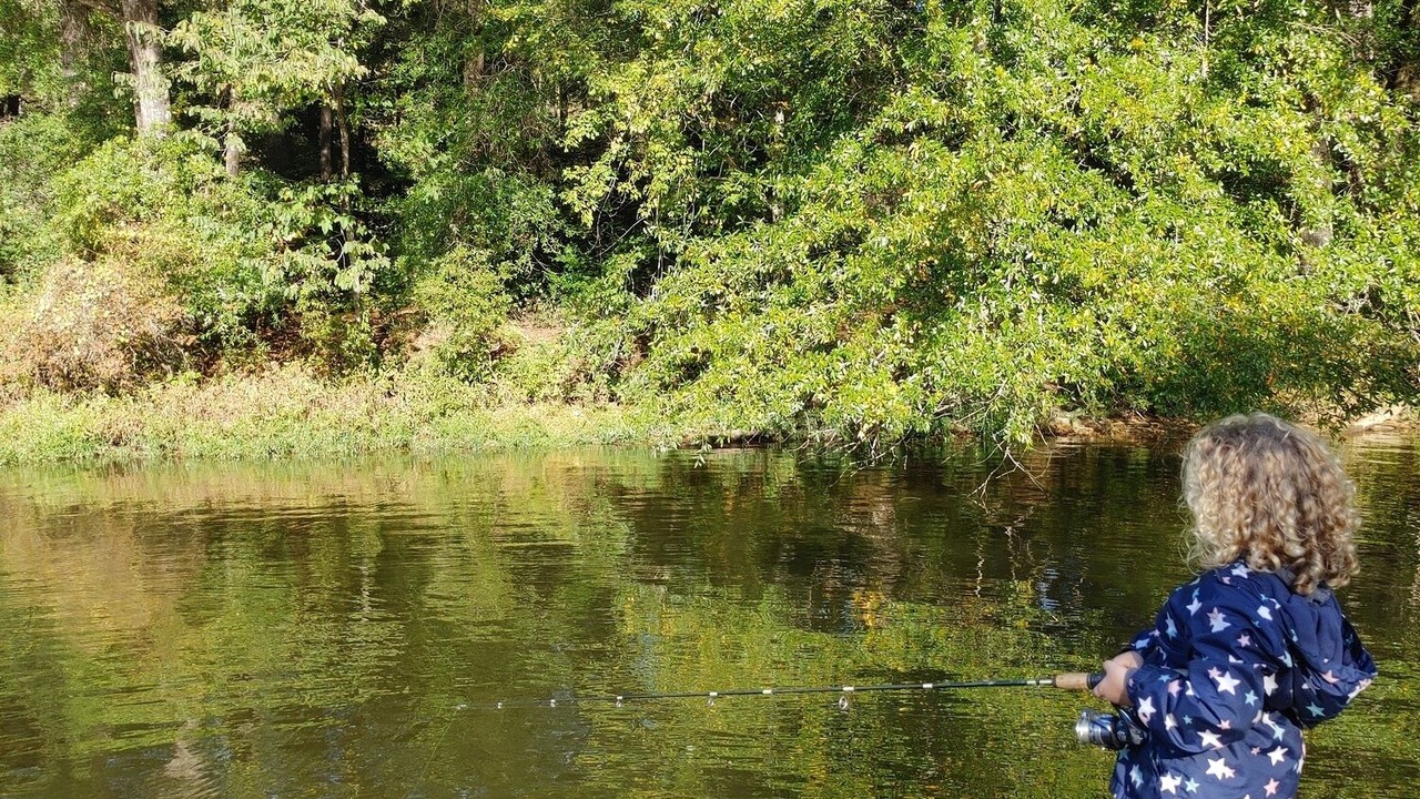 Photo of Others in Guntersville