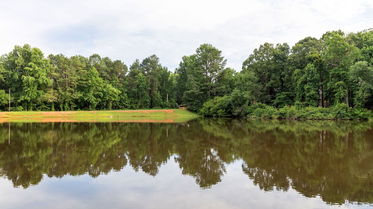 Photo of Outdoor in Decatur