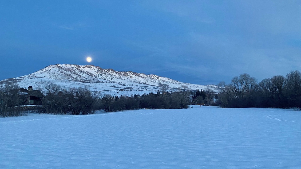 Photo of Others in Wolf Creek