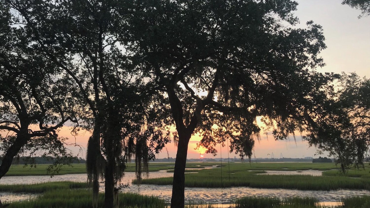 Photo of Outdoor in West Ashley