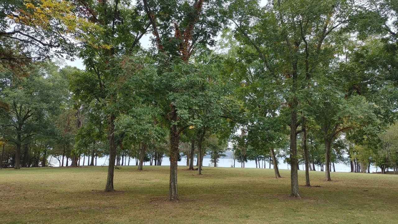 Photo of Others in Guntersville
