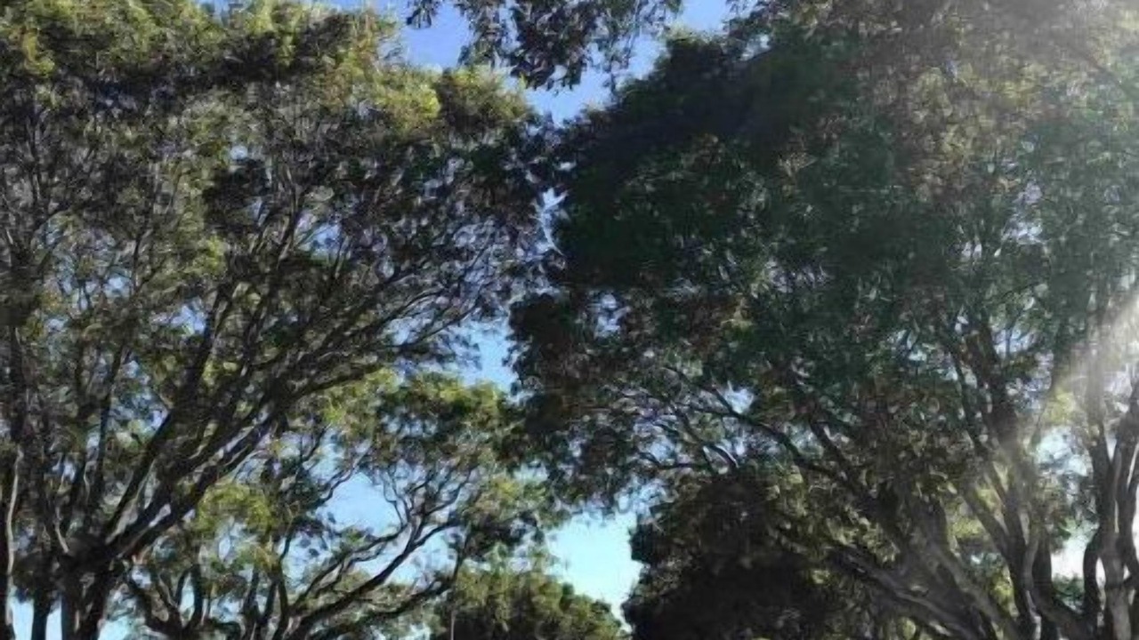 Photo of Others in Parker Ridge