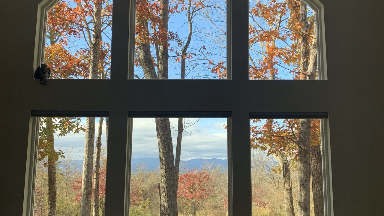 Photo of Others in Weaverville