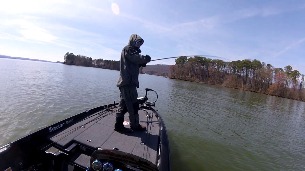 Photo of Others in Guntersville