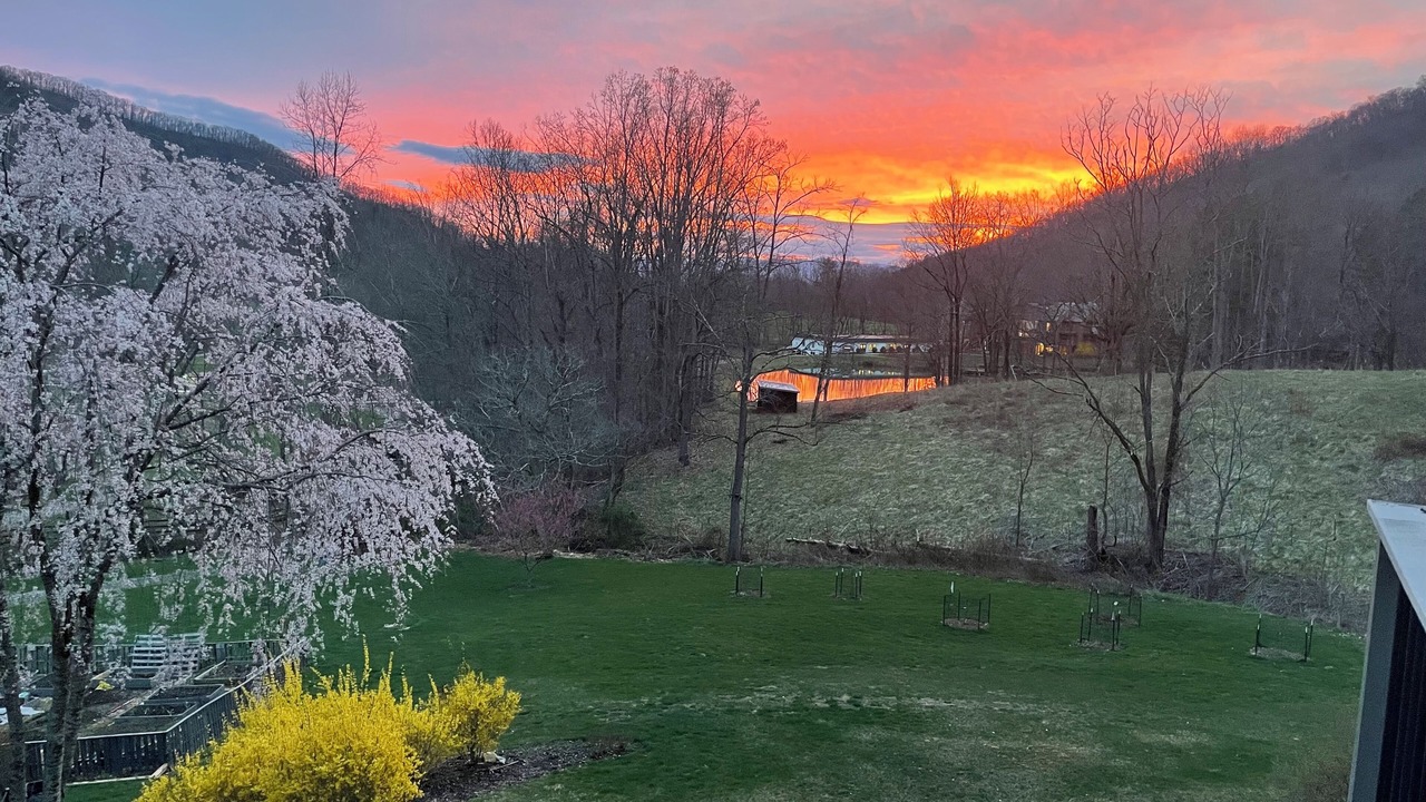 Photo of Others in Weaverville