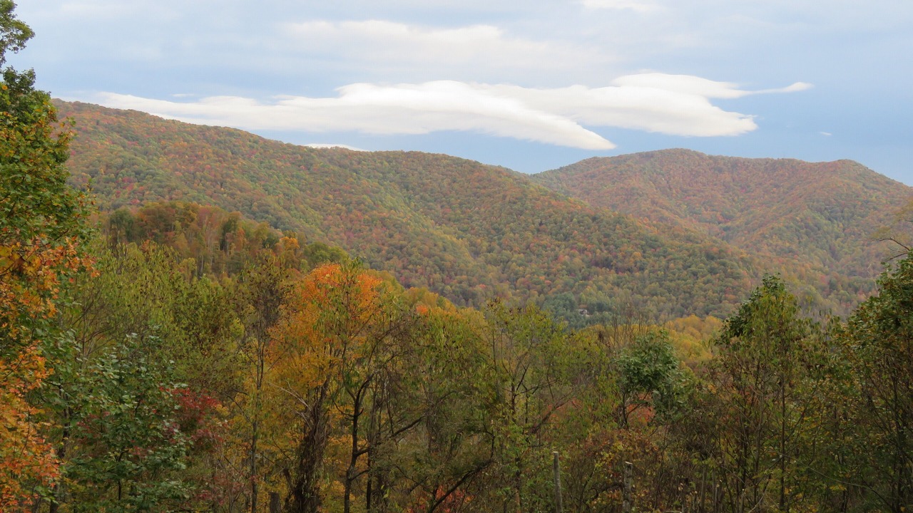Photo of Others in Waynesville