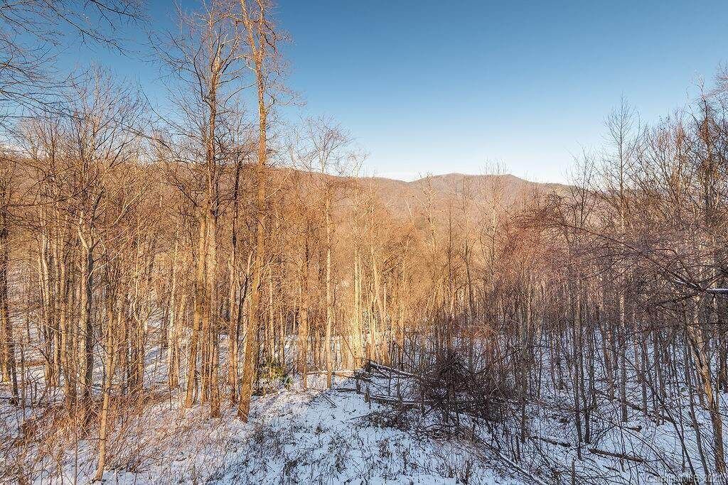 Photo of Outdoor in Waynesville