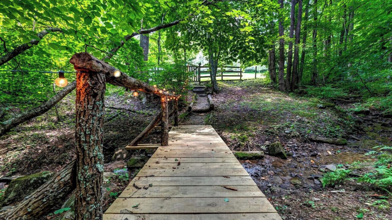 Photo of Outdoor in Roan Mountain