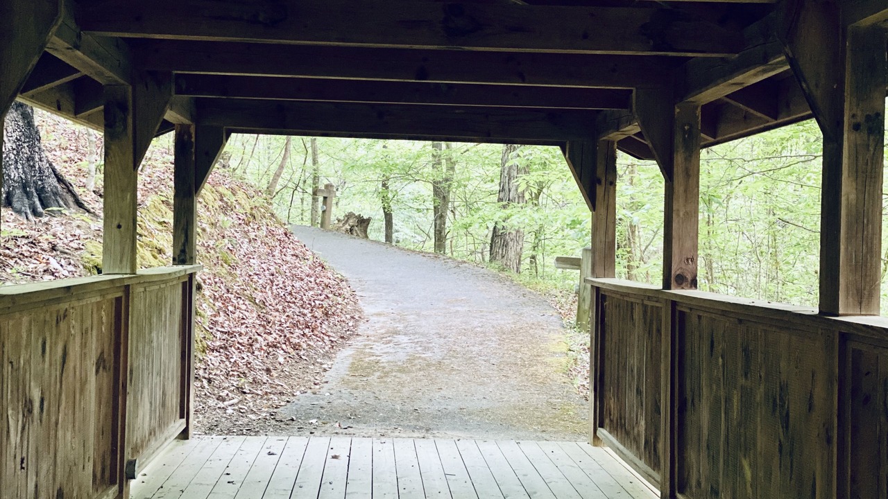 Photo of Outdoor in Sevierville