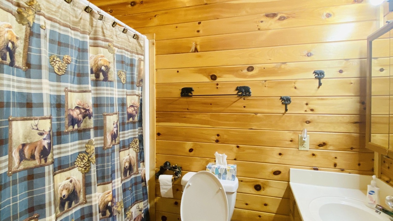 Photo of Bathroom in Sevierville