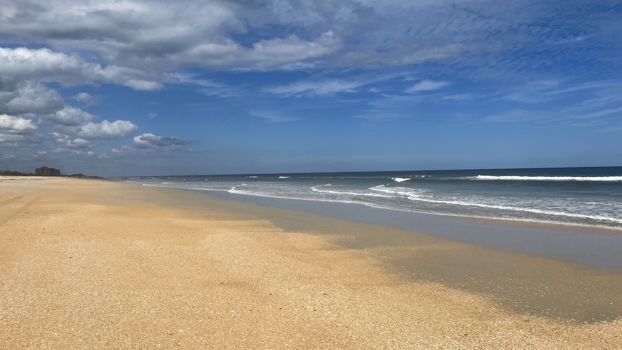 Photo of Others in Palm Coast
