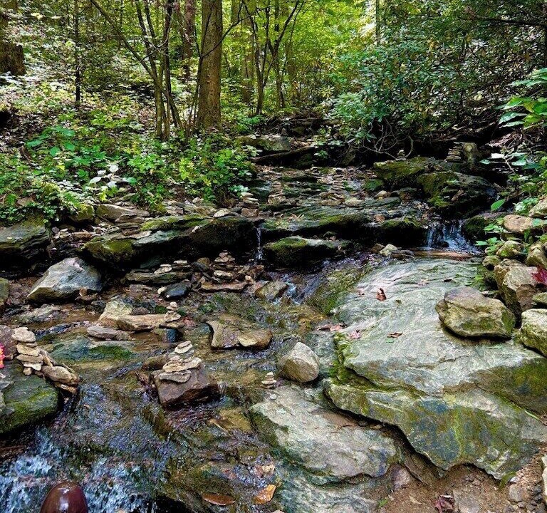 Photo of Others in Asheville