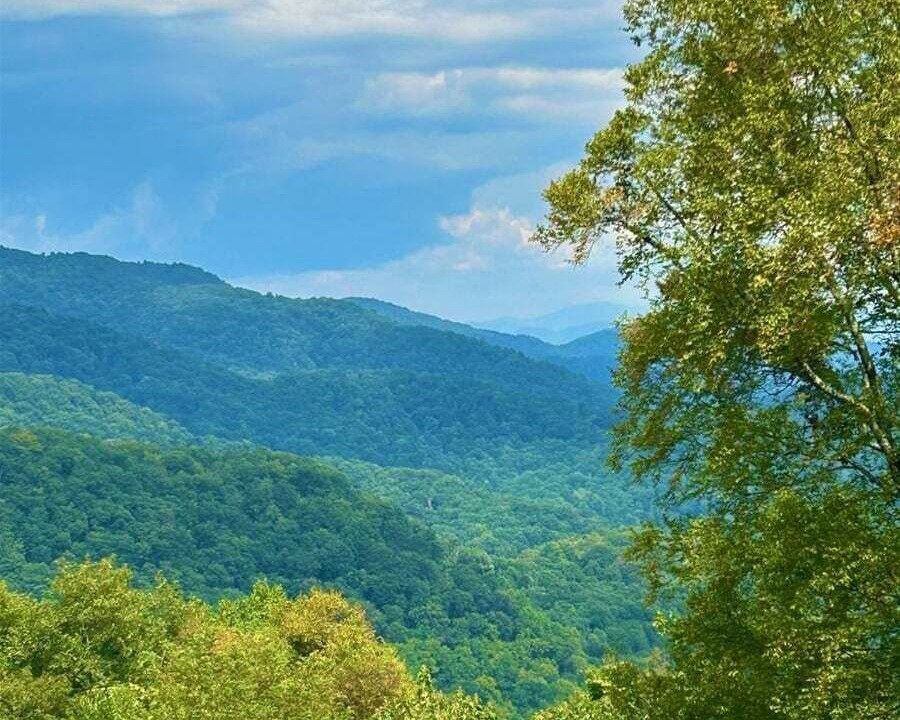 Photo of Others in Asheville