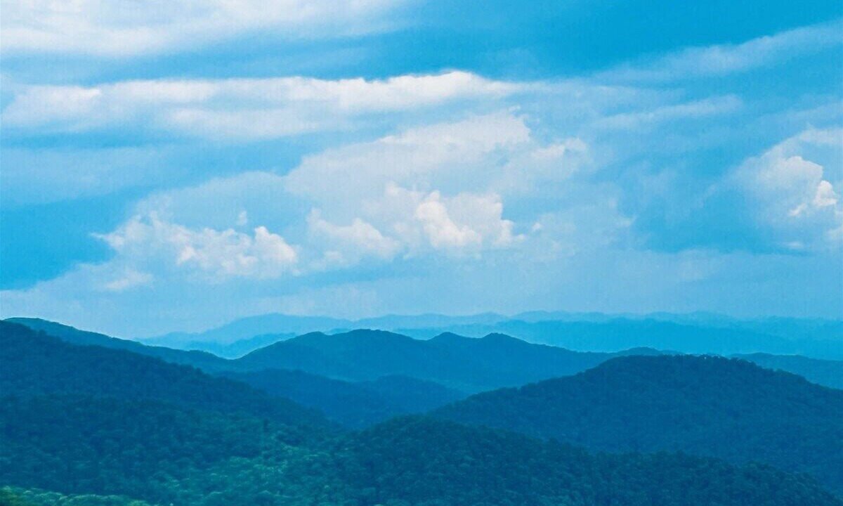 Photo of Others in Asheville