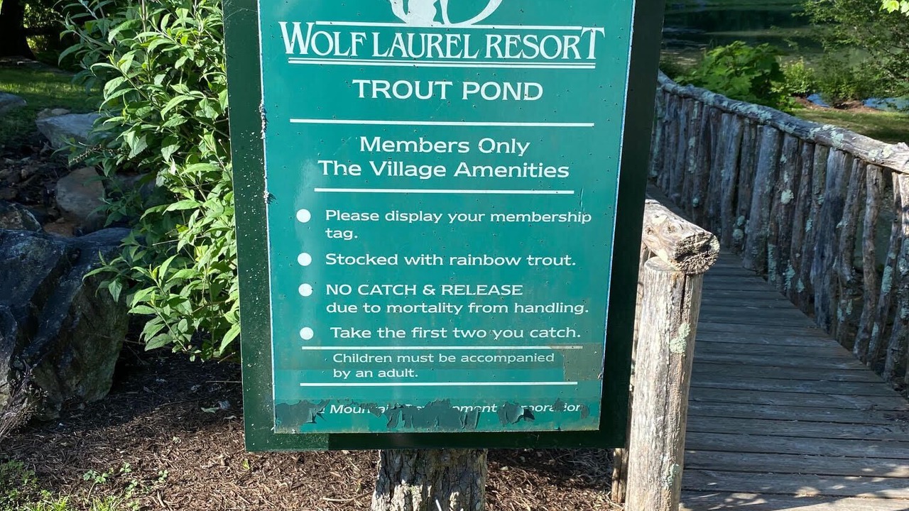 Photo of Others in Wolf Laurel
