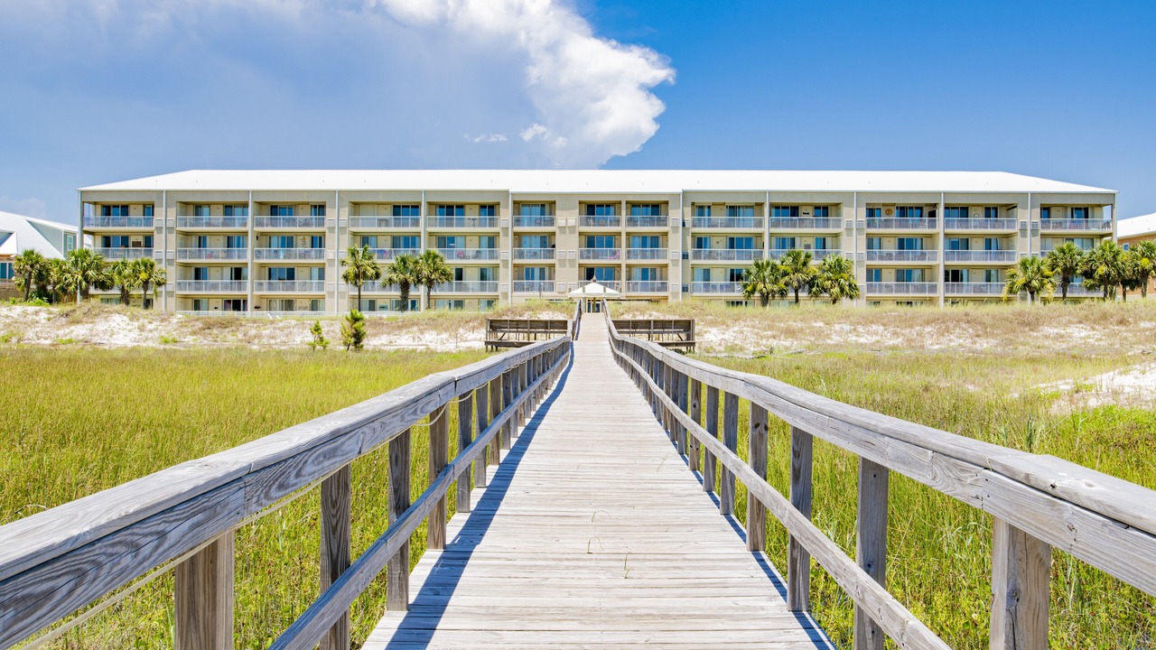 Photo of Outdoor in Dauphin Island