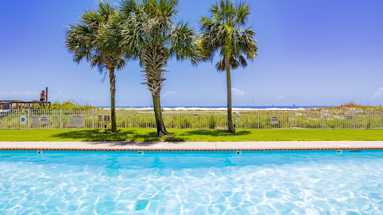 Photo of Outdoor in Dauphin Island