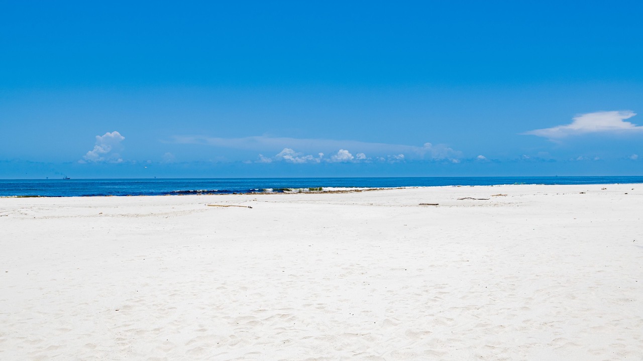 Photo of Others in Dauphin Island