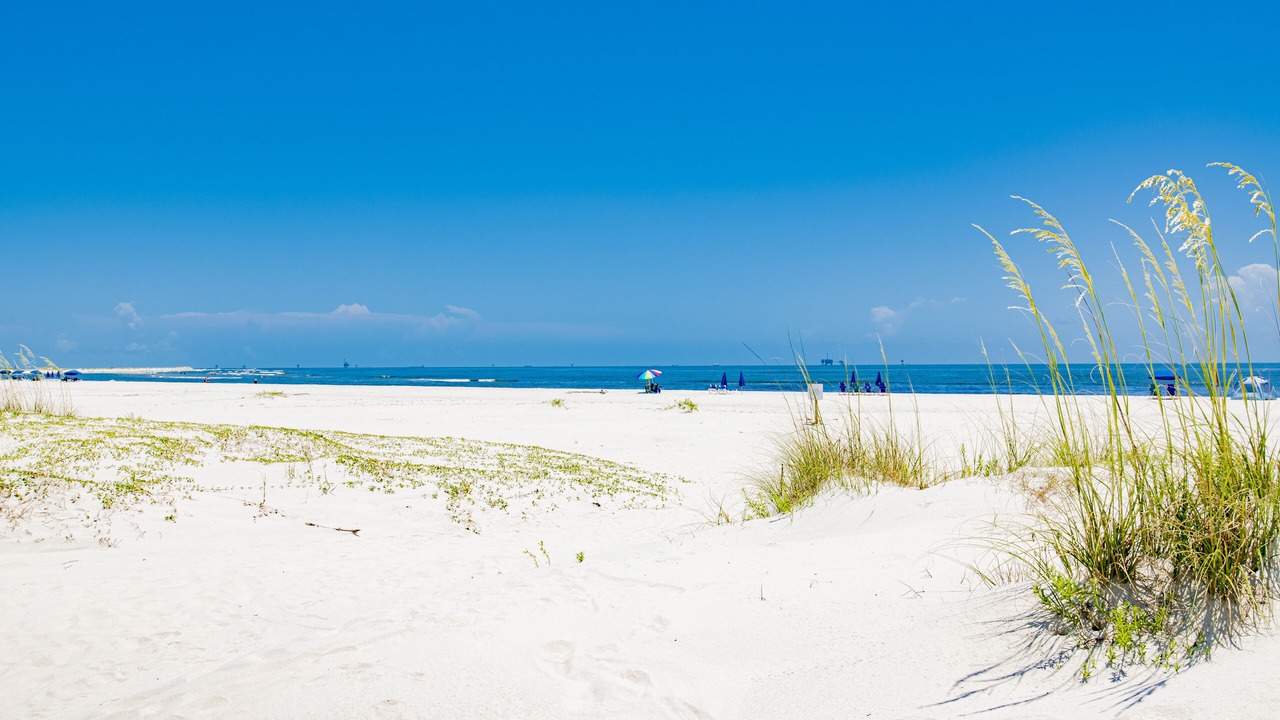 Photo of Others in Dauphin Island