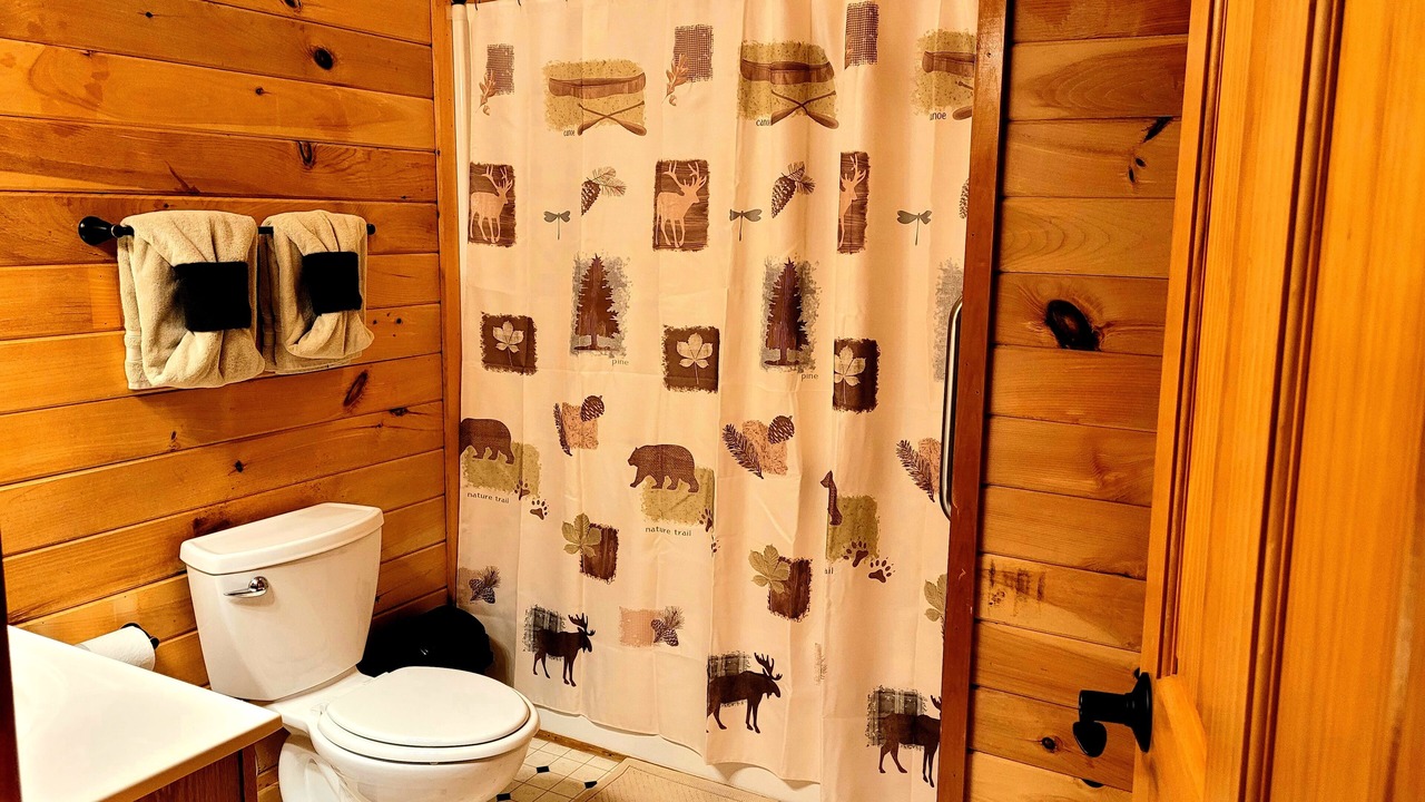 Photo of Bathroom in Sevierville