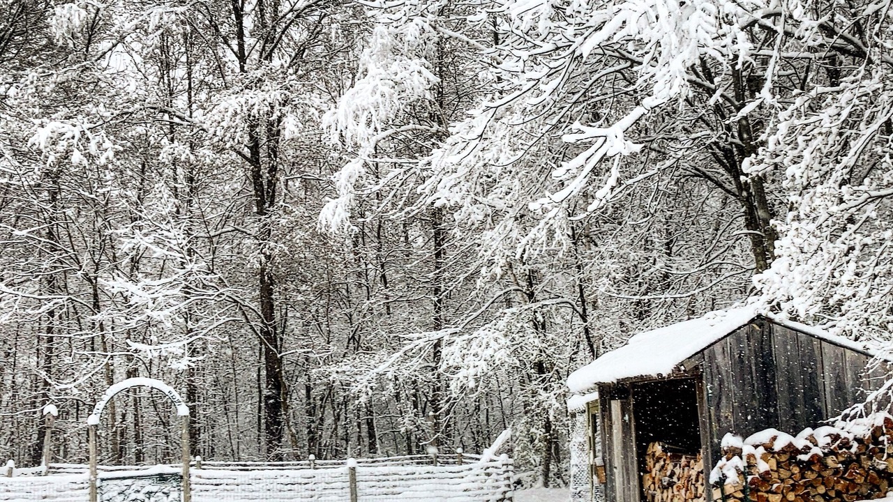 Photo of Outdoor in Pawlet
