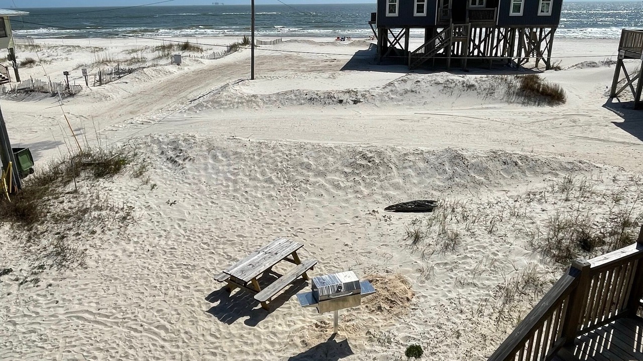 Photo of Outdoor in Dauphin Island