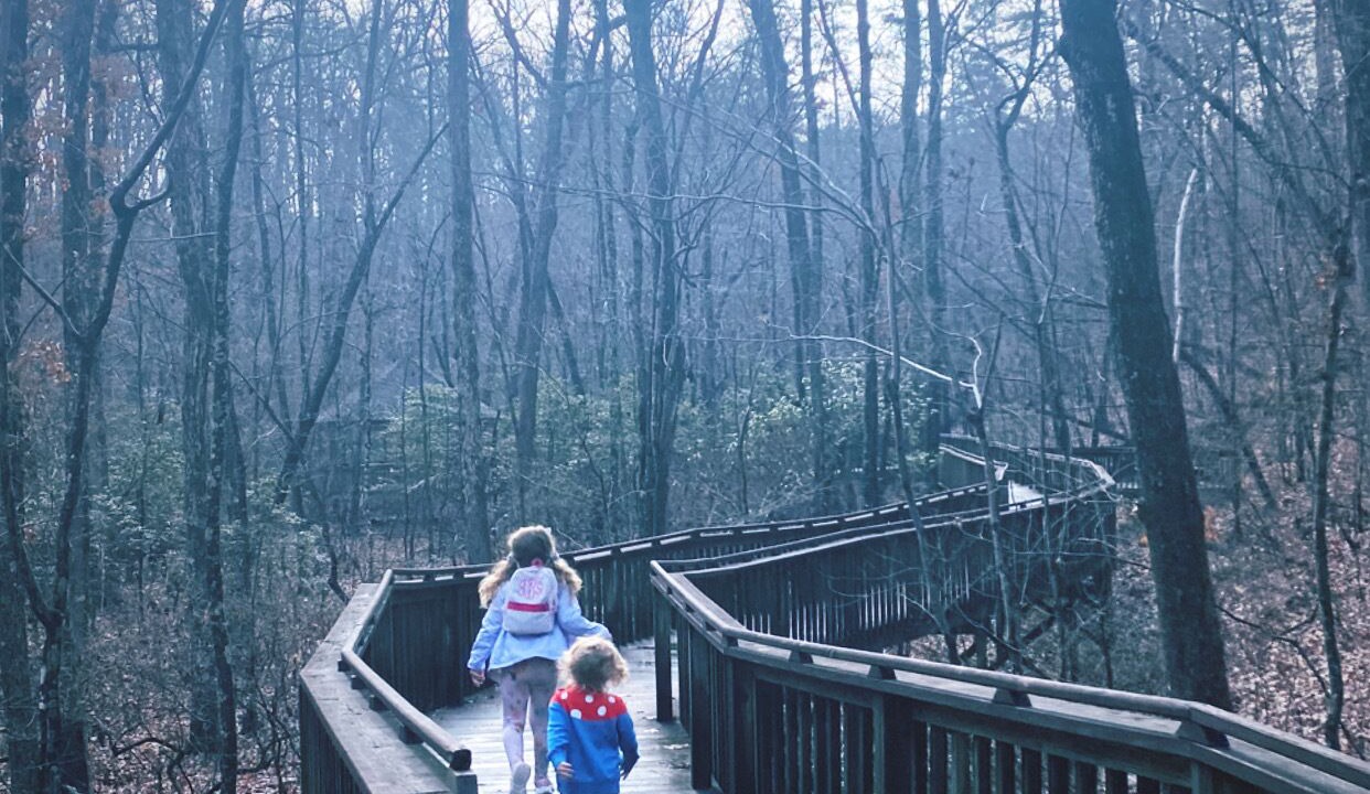 Photo of Outdoor in Mentone