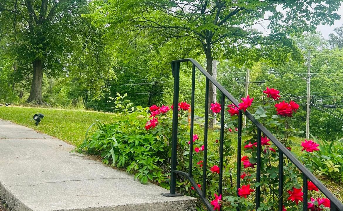 Photo of Outdoor in Forest Hills