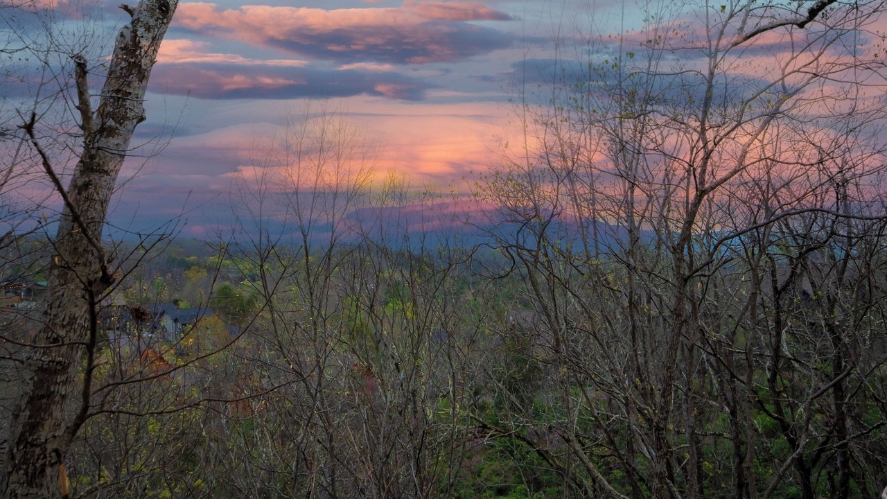 Photo of Others in Sevierville