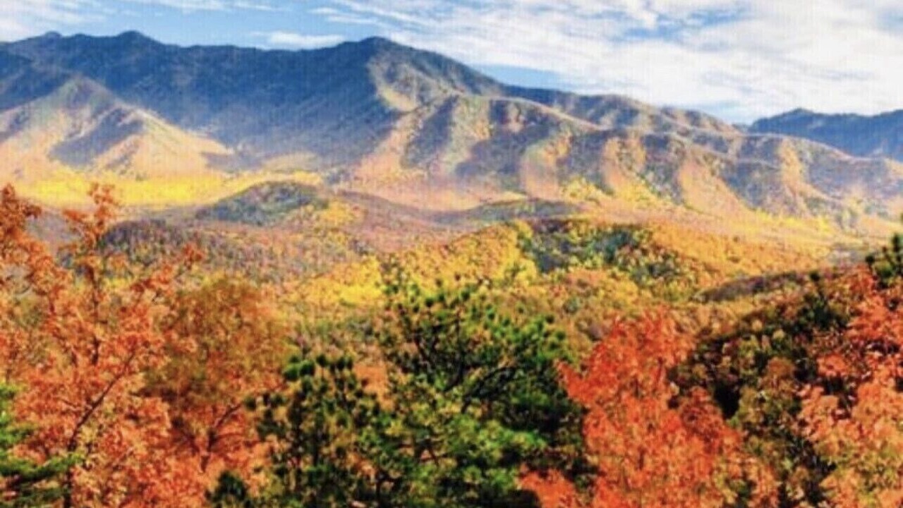 Photo of Others in Sevierville