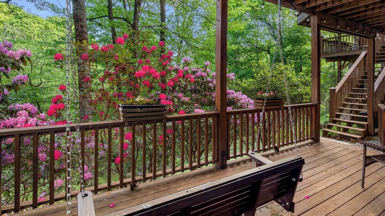 Photo of Outdoor in Wolf Laurel