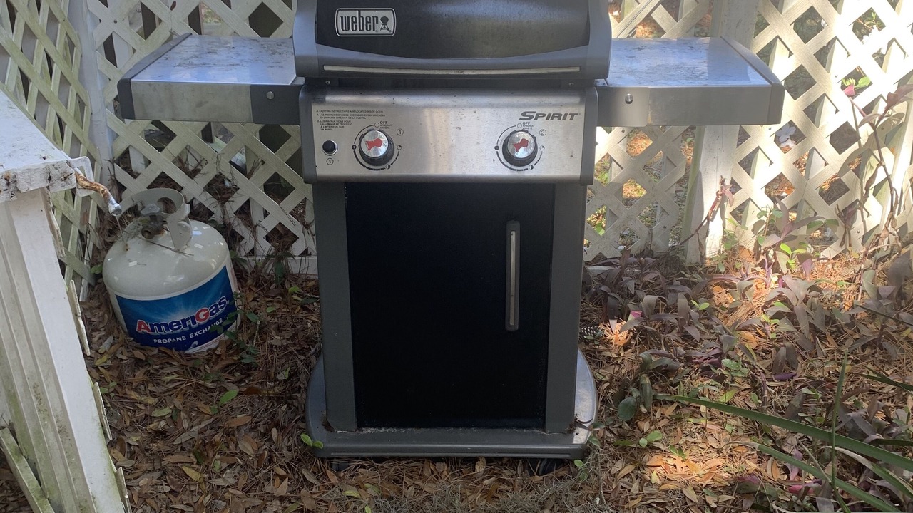 Photo of Outdoor in Saint Simons Island