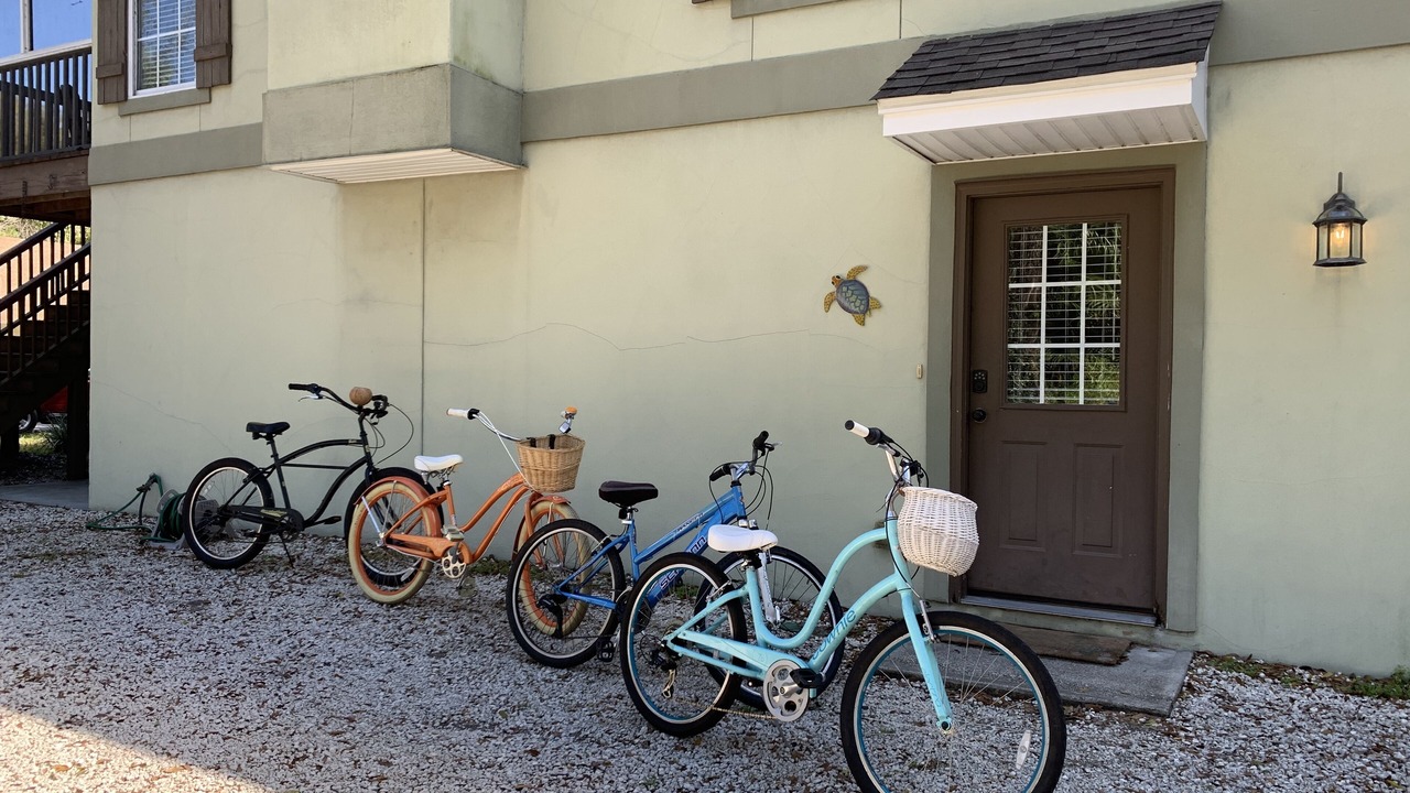 Photo of Outdoor in Saint Simons Island