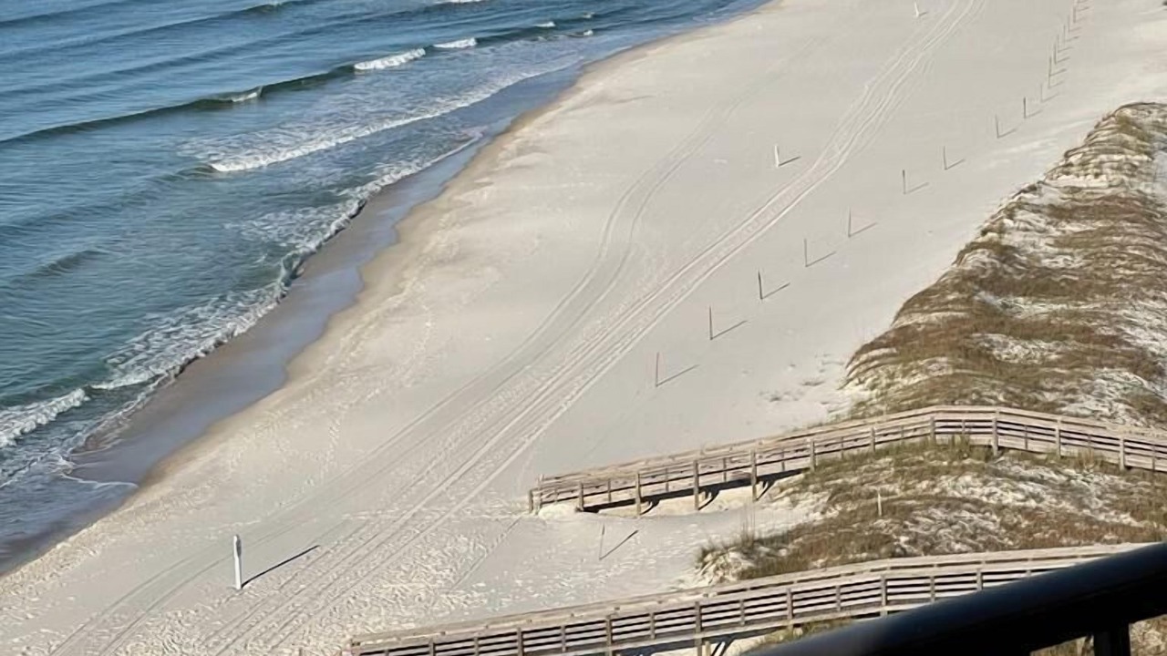 Photo of Others in Orange Beach East
