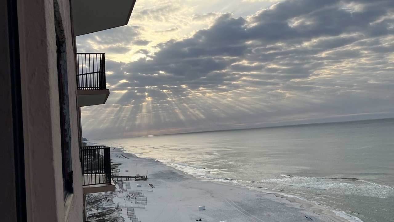 Photo of Others in Orange Beach East