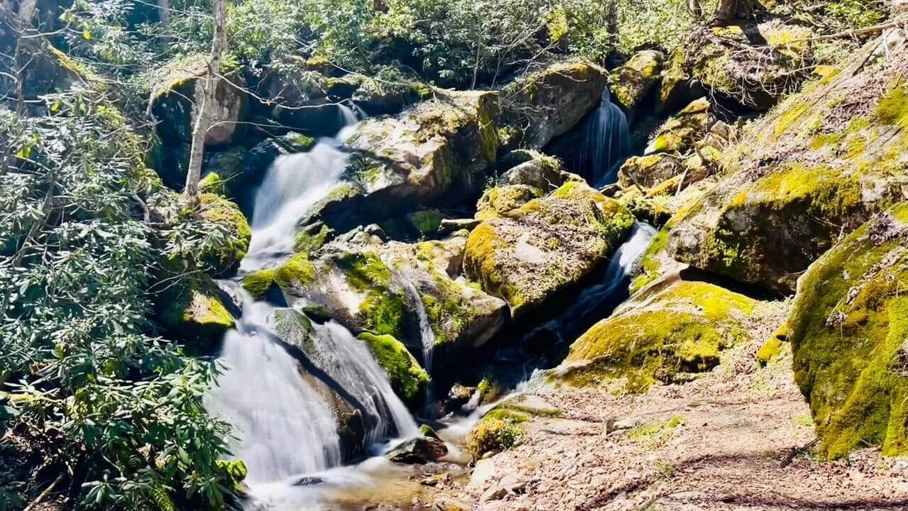 Photo of Others in Hot Springs