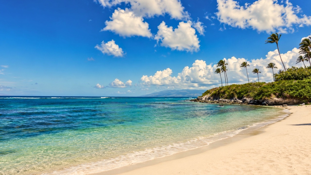 Photo of Others in Montage Kapalua Bay