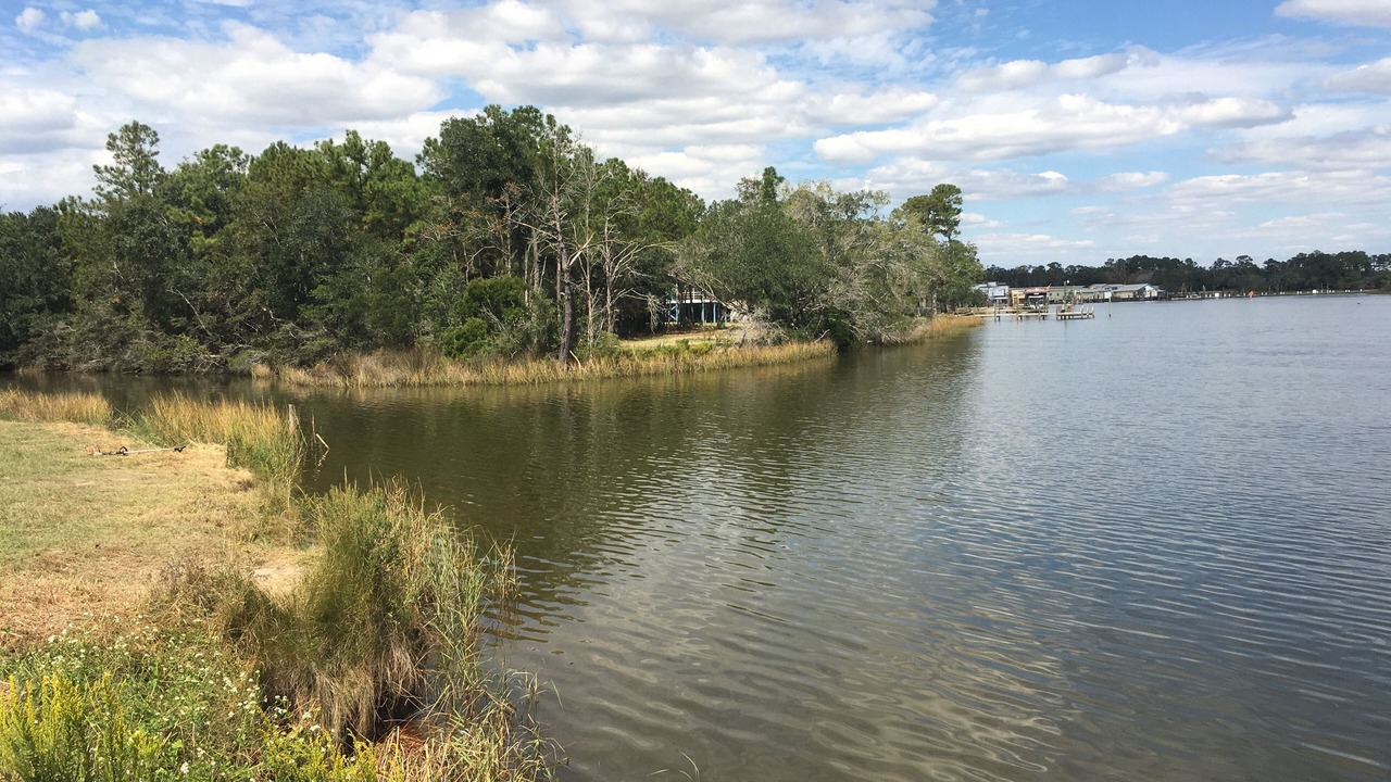 Photo of Outdoor in Bon Secour