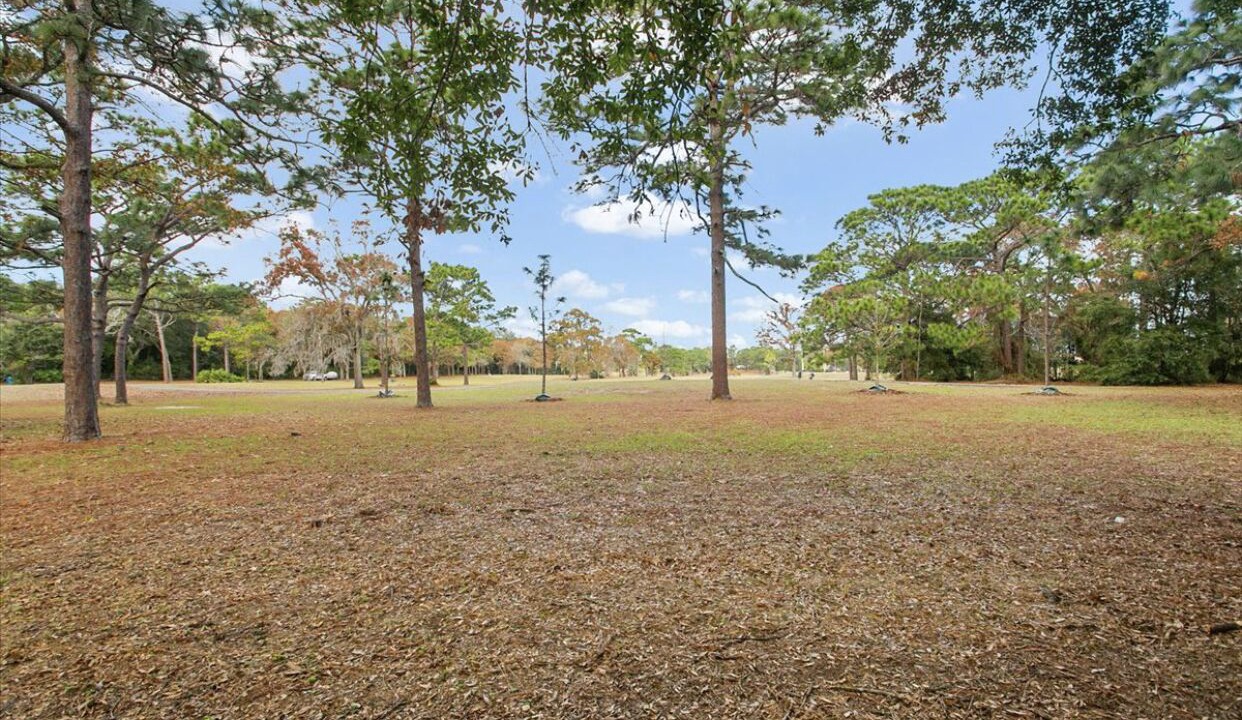 Photo of Outdoor in Arlington