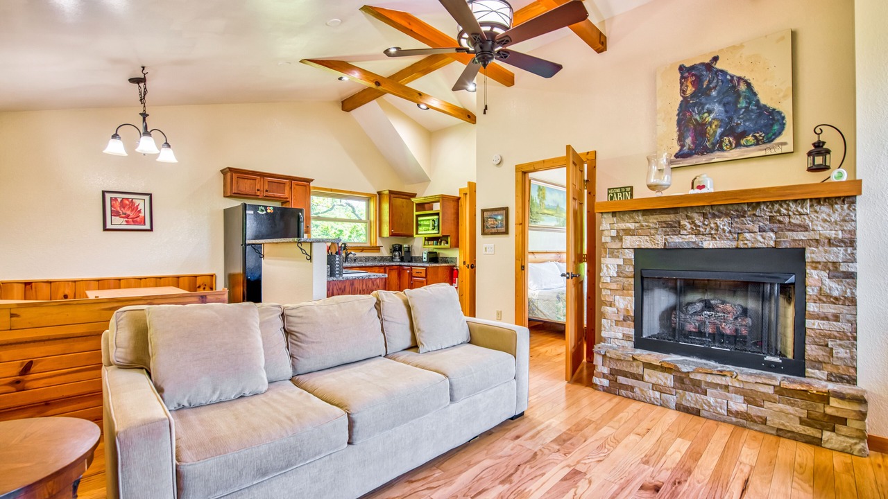 Photo of Livingroom in Waynesville