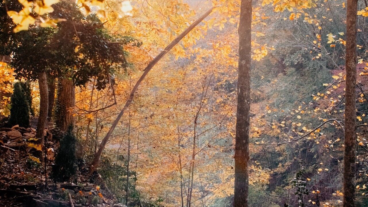 Photo of Outdoor in Houston